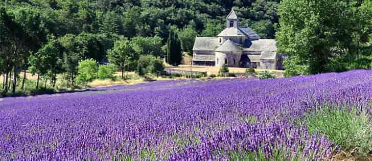 Viaggi in moto: Provenza in moto tra gole spettacolari e campi di lavanda 2