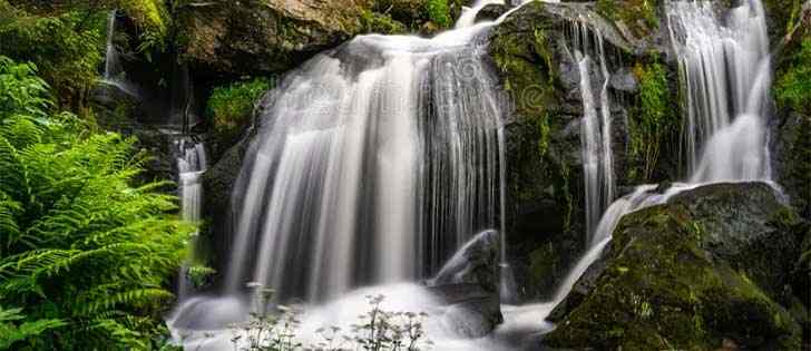 Viaggi in moto: Viaggio nella Foresta Nera: Moto, Magia e Silenzi  3